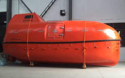 7.5m Totally Enclosed Lifeboat ( NM75F/C)