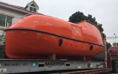 8.5m Totally Enclosed Lifeboat ( NM85F )