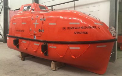 Small 5m Totally Enclosed Lifeboat ( NML50C )